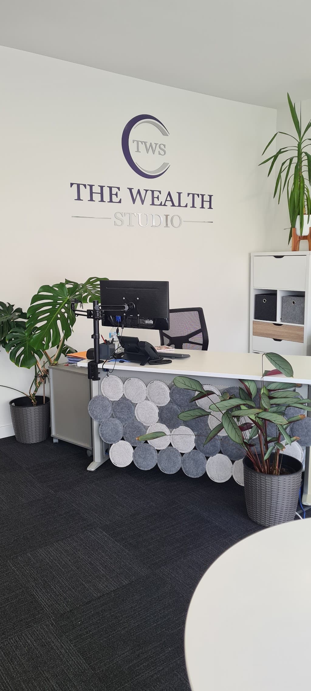 The Wealth Studio